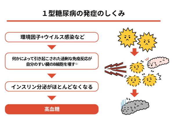 糖尿病 角田医院分院 佐久市岩村田の内科 小児科 呼吸器内科 糖尿病内科 アレルギー科